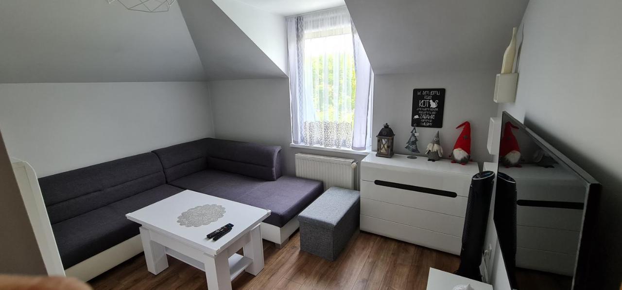 Apartament Centrum Kudowa Zdroj Luaran gambar